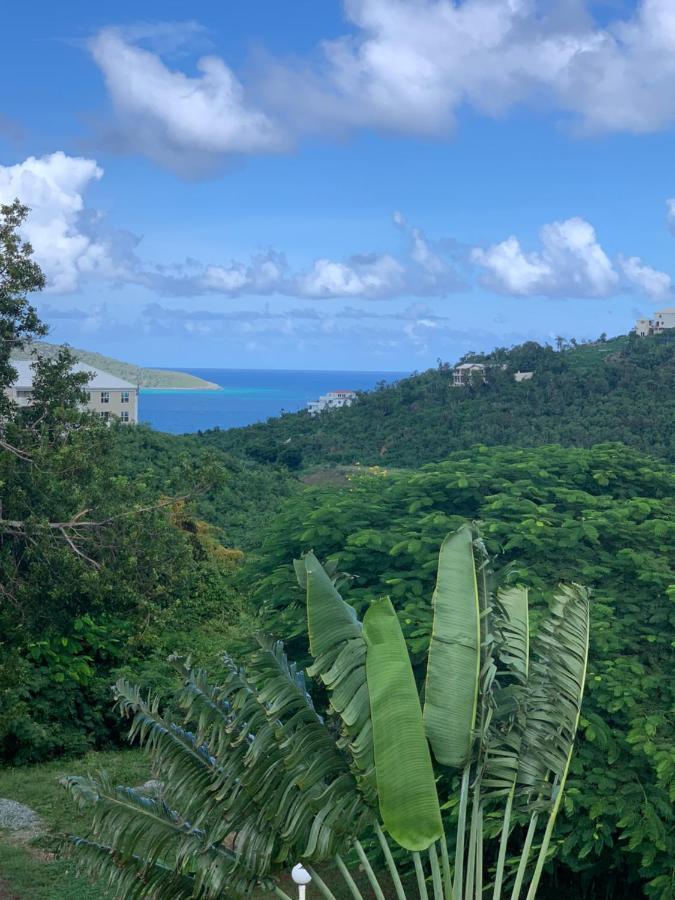 Flamboyan On The Bay Resort & Villas Canaan Buitenkant foto